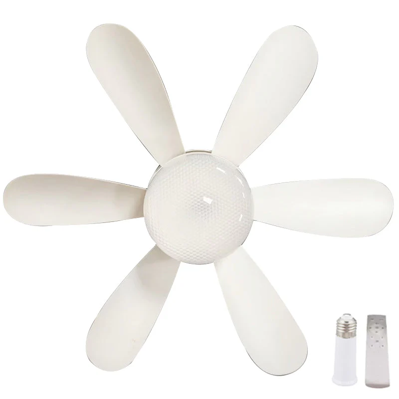 Image du produit 10