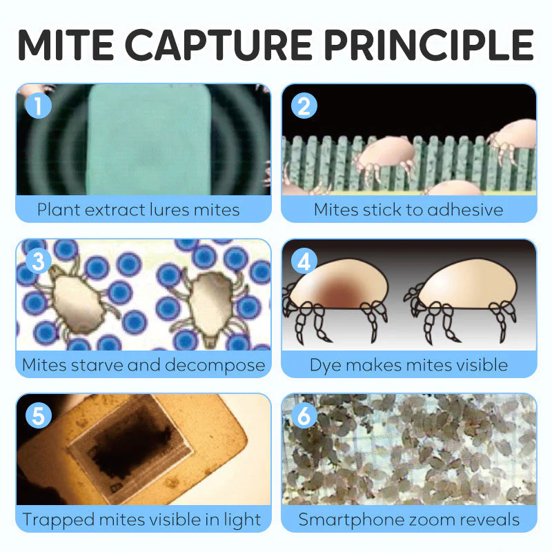 Image du produit 7