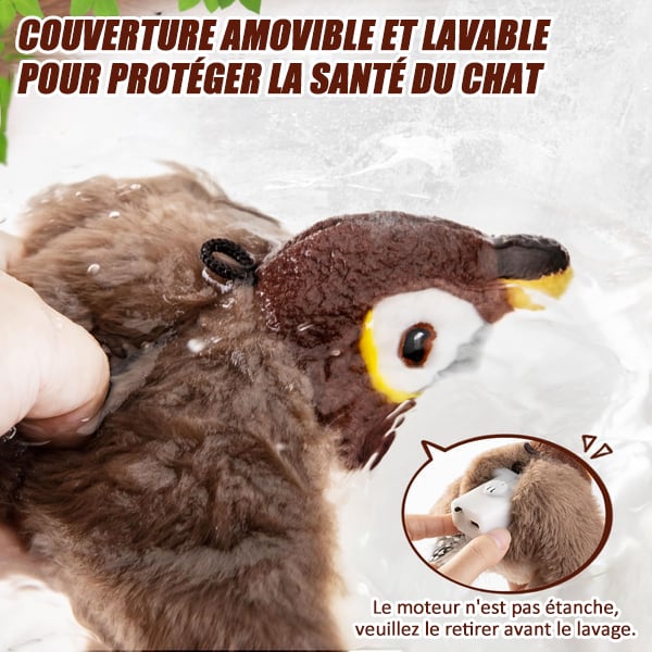 Image du produit 10