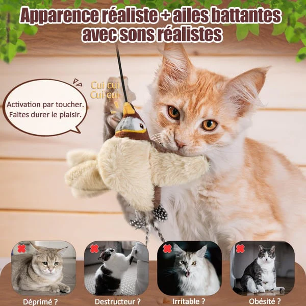 Image du produit 11