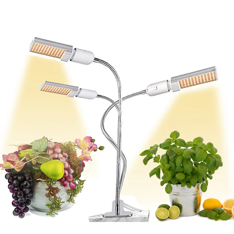 Image du produit 10