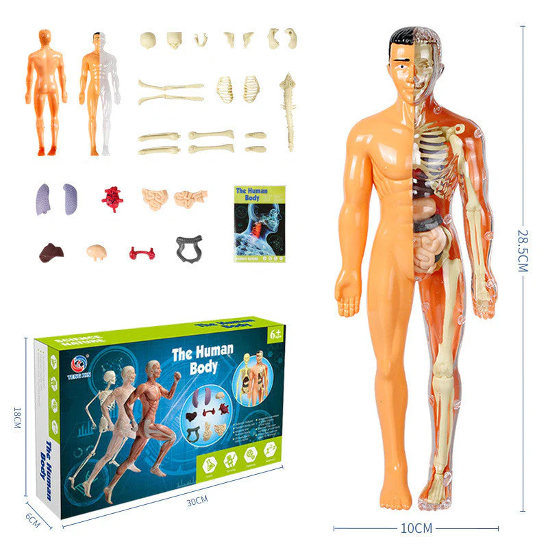 Image du produit 14