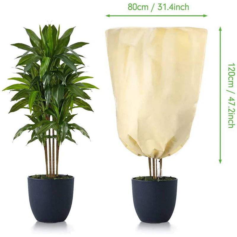 Image du produit 12