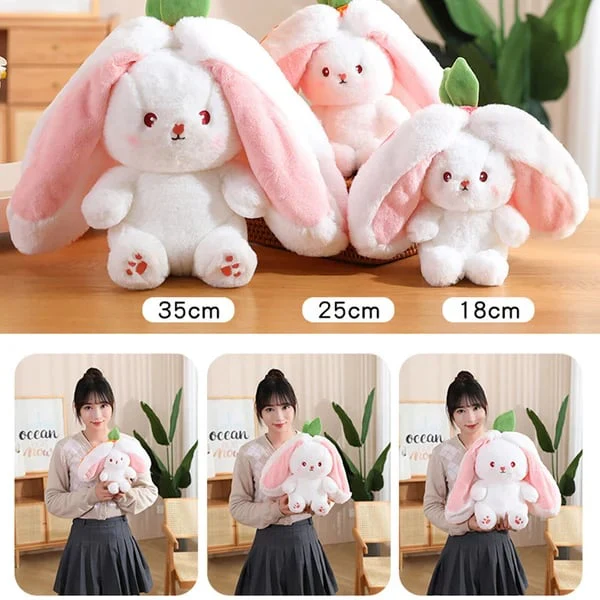 Image du produit 15