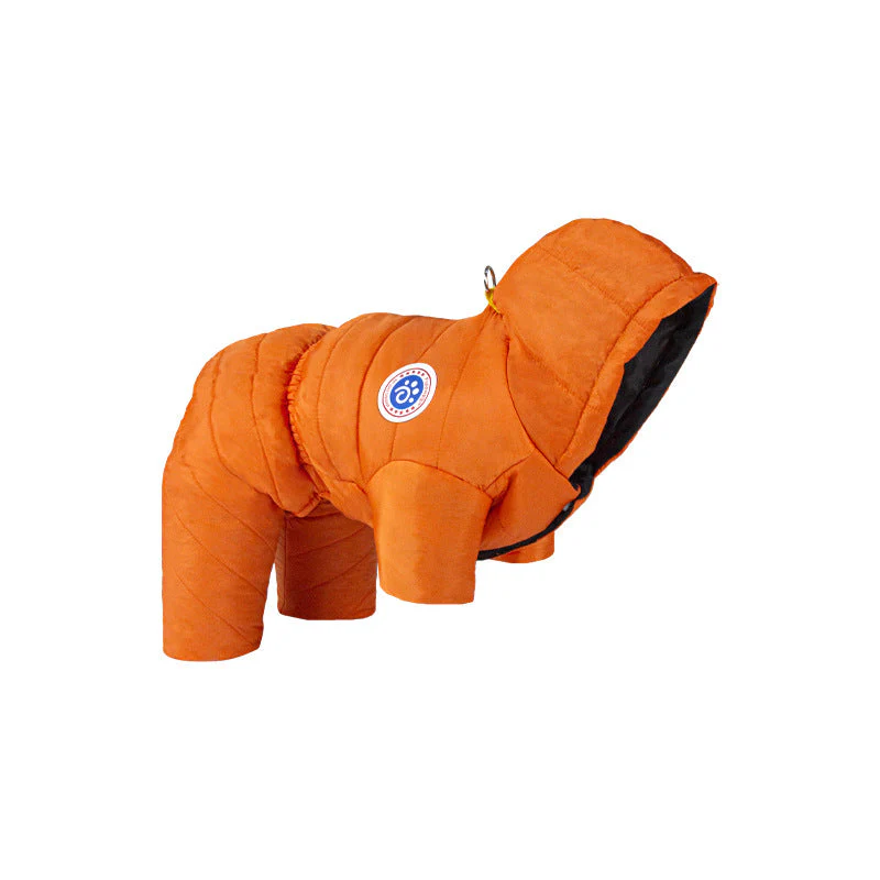 Image du produit 10